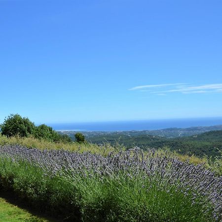 La Bastide Des Pins Bed and Breakfast Vence Exteriör bild