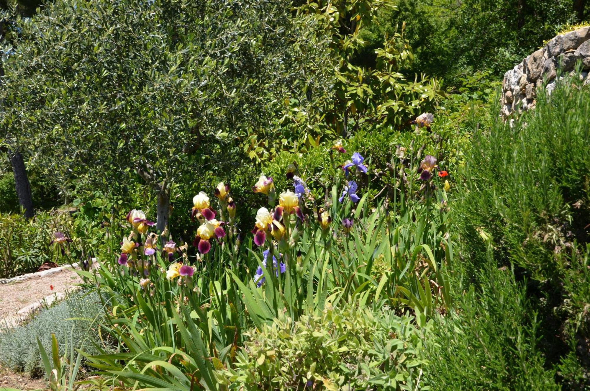 La Bastide Des Pins Bed and Breakfast Vence Exteriör bild