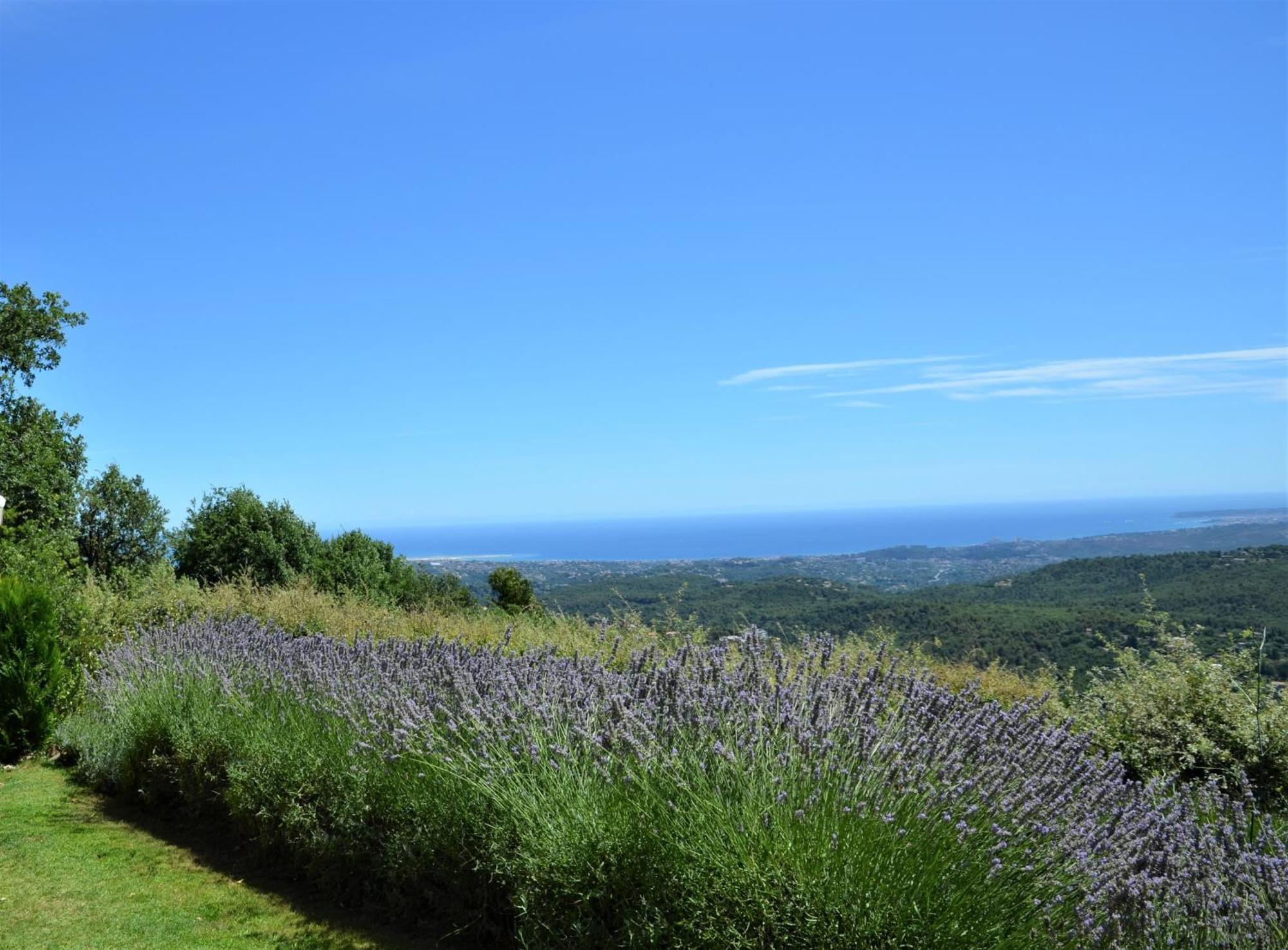 La Bastide Des Pins Bed and Breakfast Vence Exteriör bild