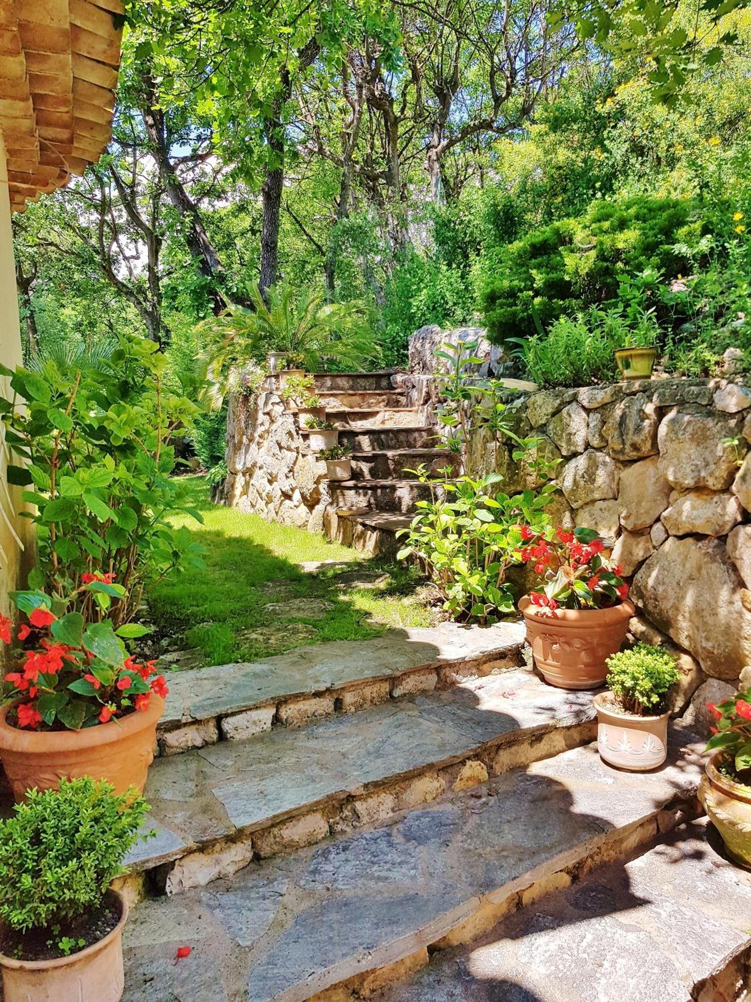 La Bastide Des Pins Bed and Breakfast Vence Exteriör bild